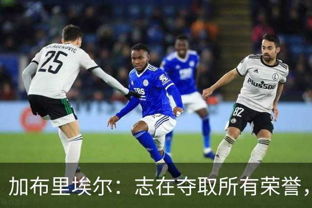 加布里埃尔：志在夺取所有荣誉，誓要从欧冠失利中反弹